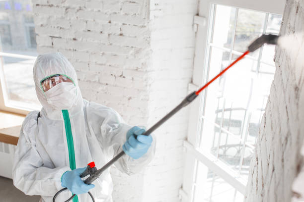 Best Water Damage & Mold Remediation  in Crookston, MN