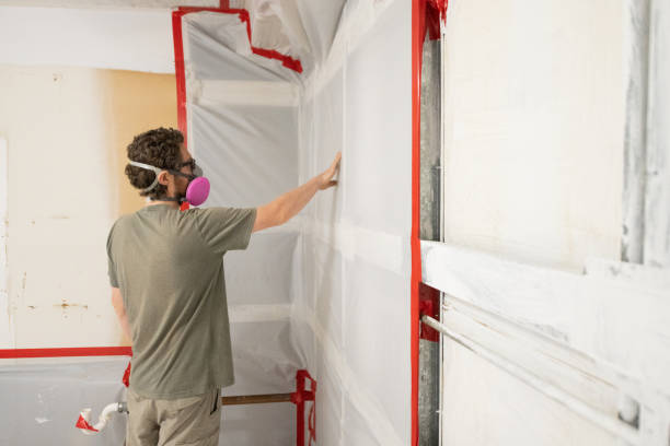 Best Mold Removal for HVAC Installations  in Crookston, MN