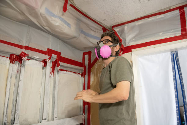 Asbestos and Lead Testing During Mold Inspection in Crookston, MN