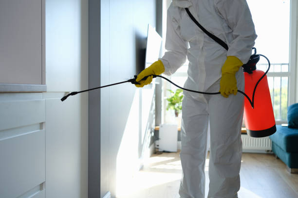 Best Mold Odor Removal Services  in Crookston, MN