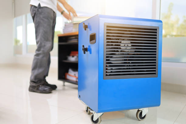 Best Real Estate Mold Inspection  in Crookston, MN