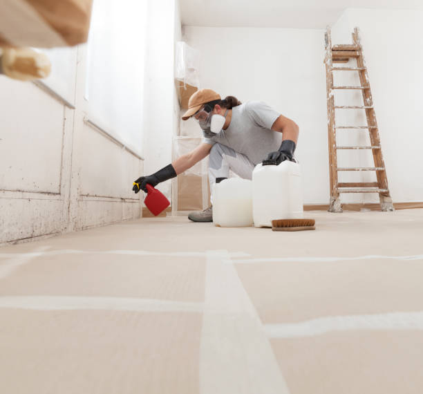 Best Post-Remediation Verification Testing  in Crookston, MN